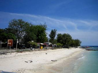 dickerson1.jpg dickerson1.jpg