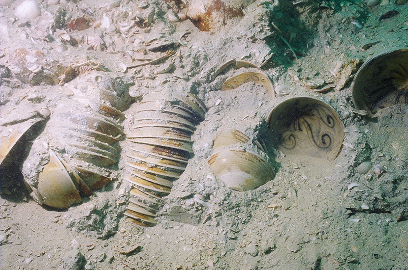 Stacks of Changsha bowls in-situ, 1999 - Credit: Michael Flecker